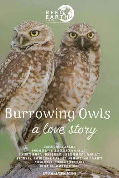Burrowing Owls: A Love Story 下载