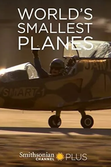 World's Smallest Planes 下载