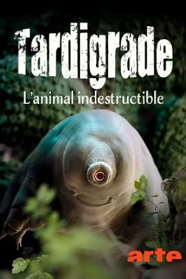 Tardigrade, l'animal indestructible 下载