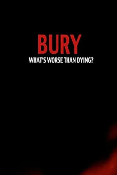 bury 下载