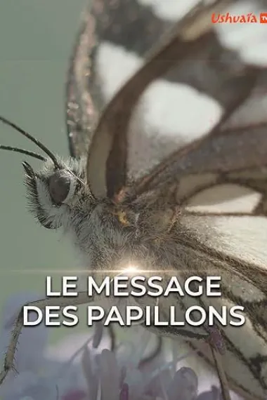 Le Message des papillons 下载