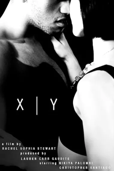 Xy 下载
