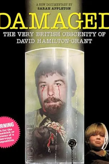 受损:大卫·汉密尔顿·格兰特的英国式淫秽历史 下载
