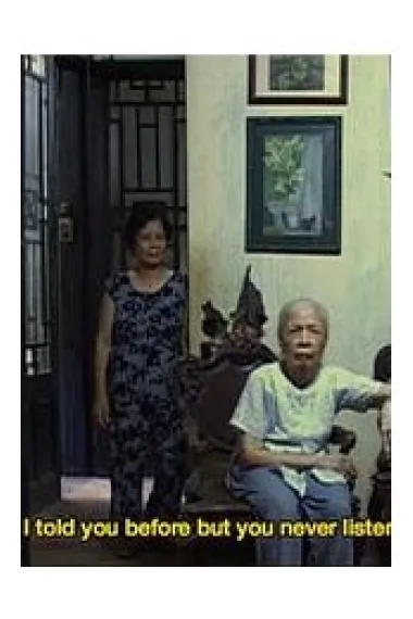 一家之主 下载