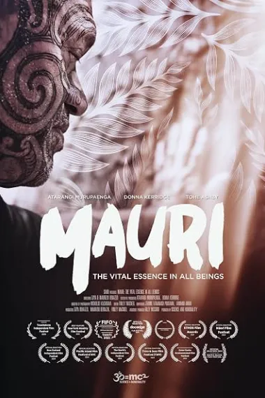 Mauri 下载