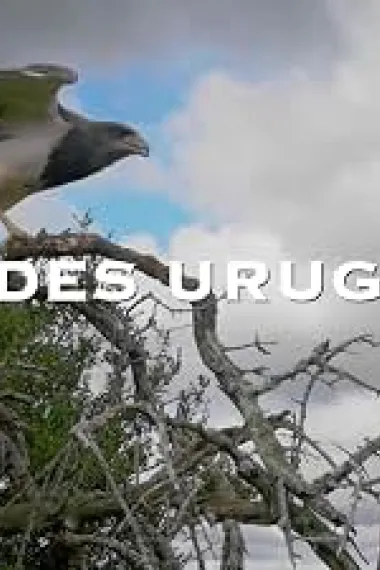 Uruguay sauvage 下载