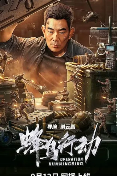 蜂鸟行动 2160P 4K 下载