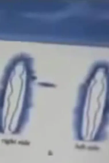 量子通讯 下载