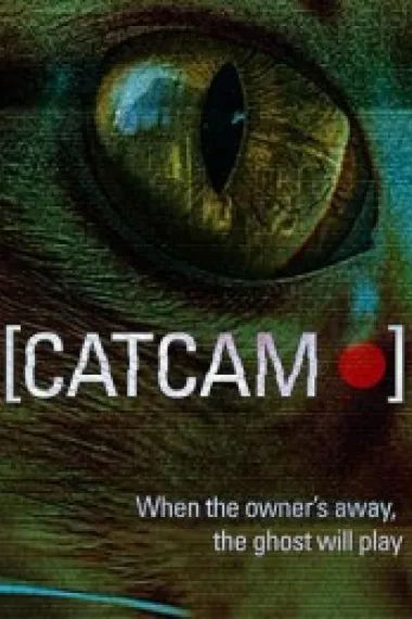 猫咪摄像头 下载