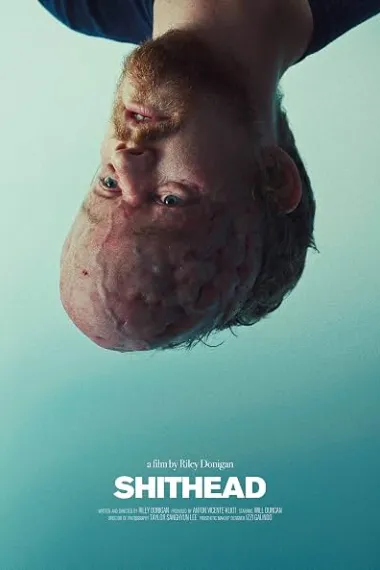 SHITHEAD 下载