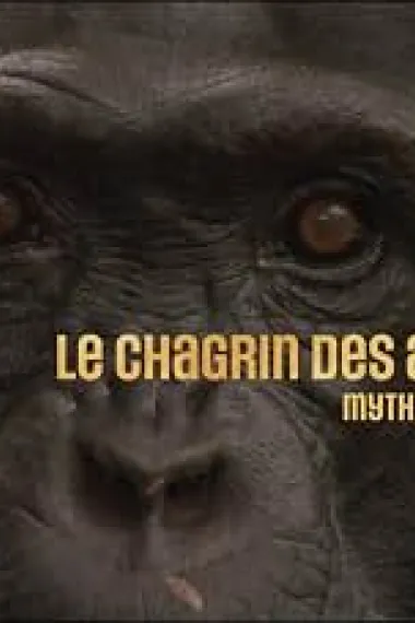 Le Chagrin Des Animaux: Mythe OU Réalité ? 下载