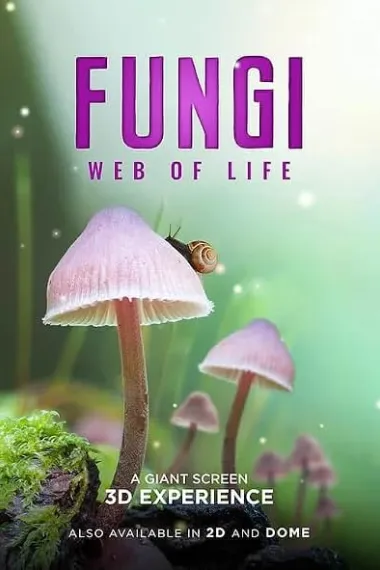 真菌的神秘王国 下载