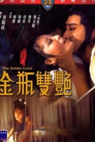 金瓶双艳 下载
