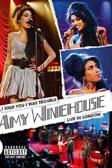 Amy Winehouse: I Told You I Was Trouble 下载