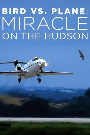 Bird vs. Plane: Miracle on the Hudson 下载