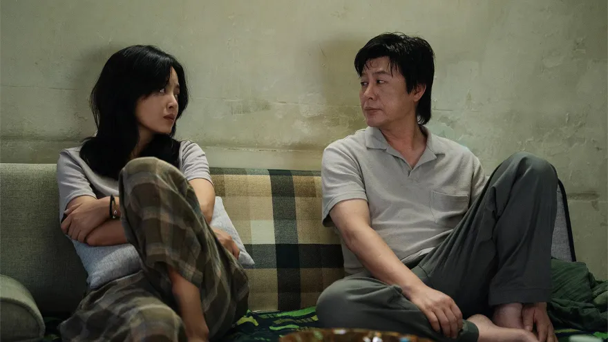 日掛中天 2160P 4K 下载