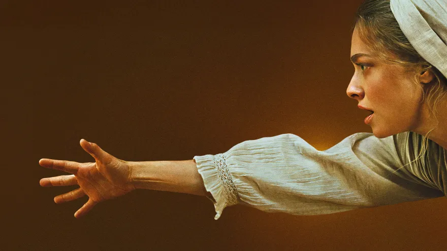 安·李的遗嘱 2160P 4K 下载